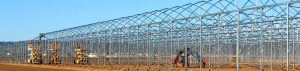 Novedades Agricolas build 12 has. greenhouse for tomato crop in Mazarrón.
